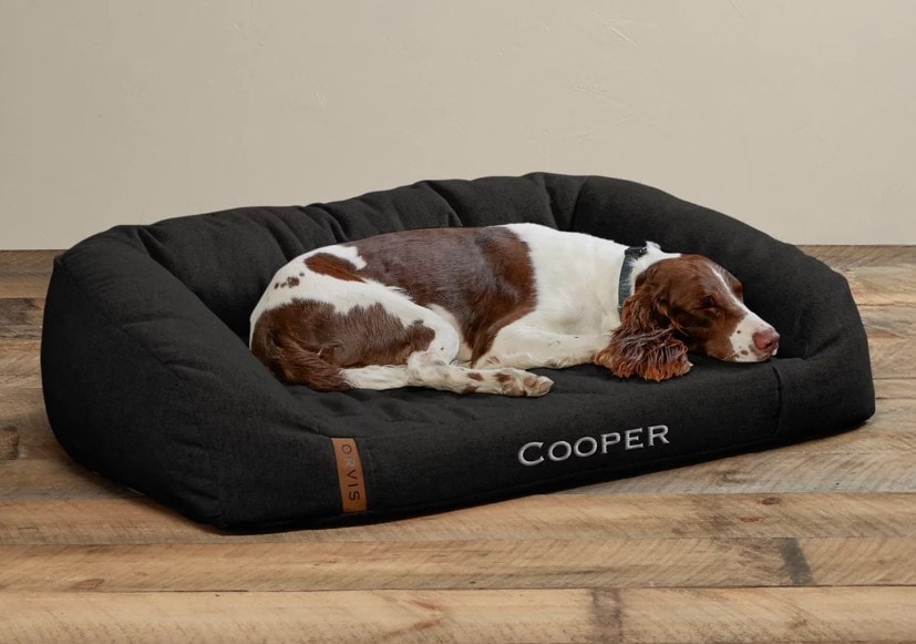 Premium Dog Beds