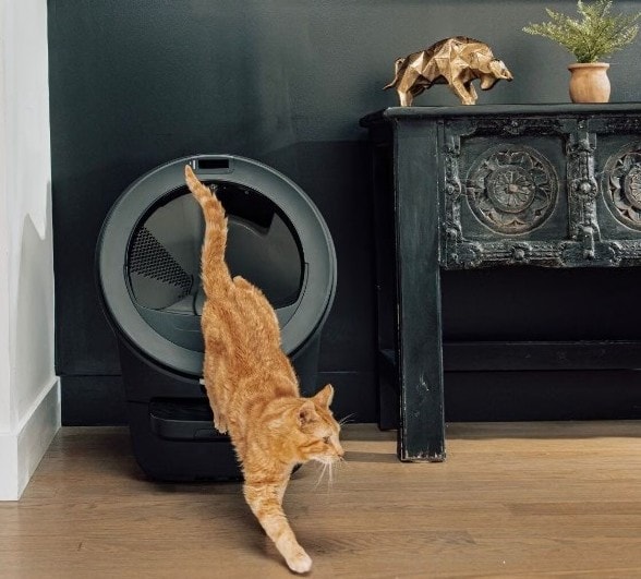 Cat Products