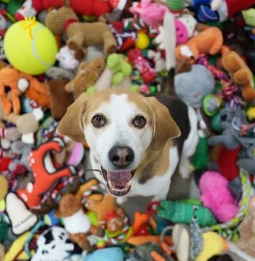 Toys